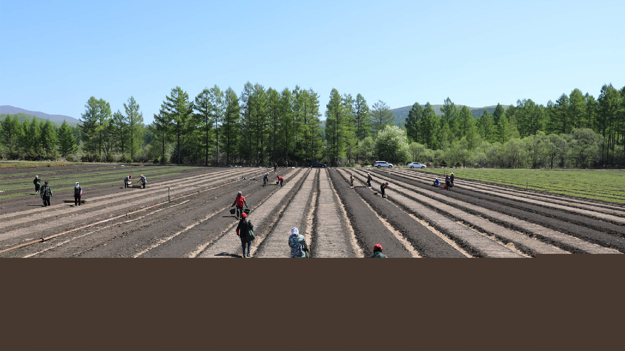 龍江森工集團(tuán)：2022年利潤(rùn)總額增長(zhǎng)近350%