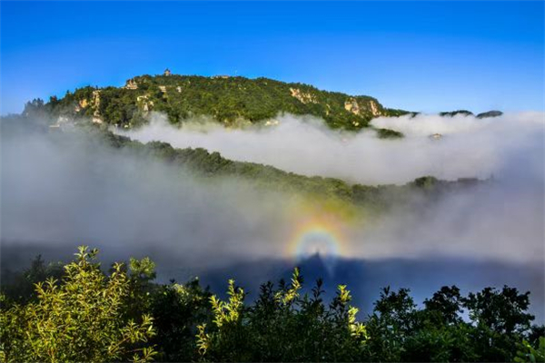 甘肅平?jīng)鲅痛睢羔轻继枴垢梆B(yǎng)生之旅