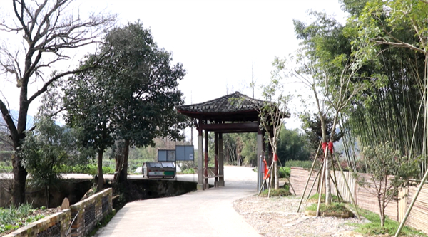 安徽歙縣：美麗鄉(xiāng)村展新畫卷