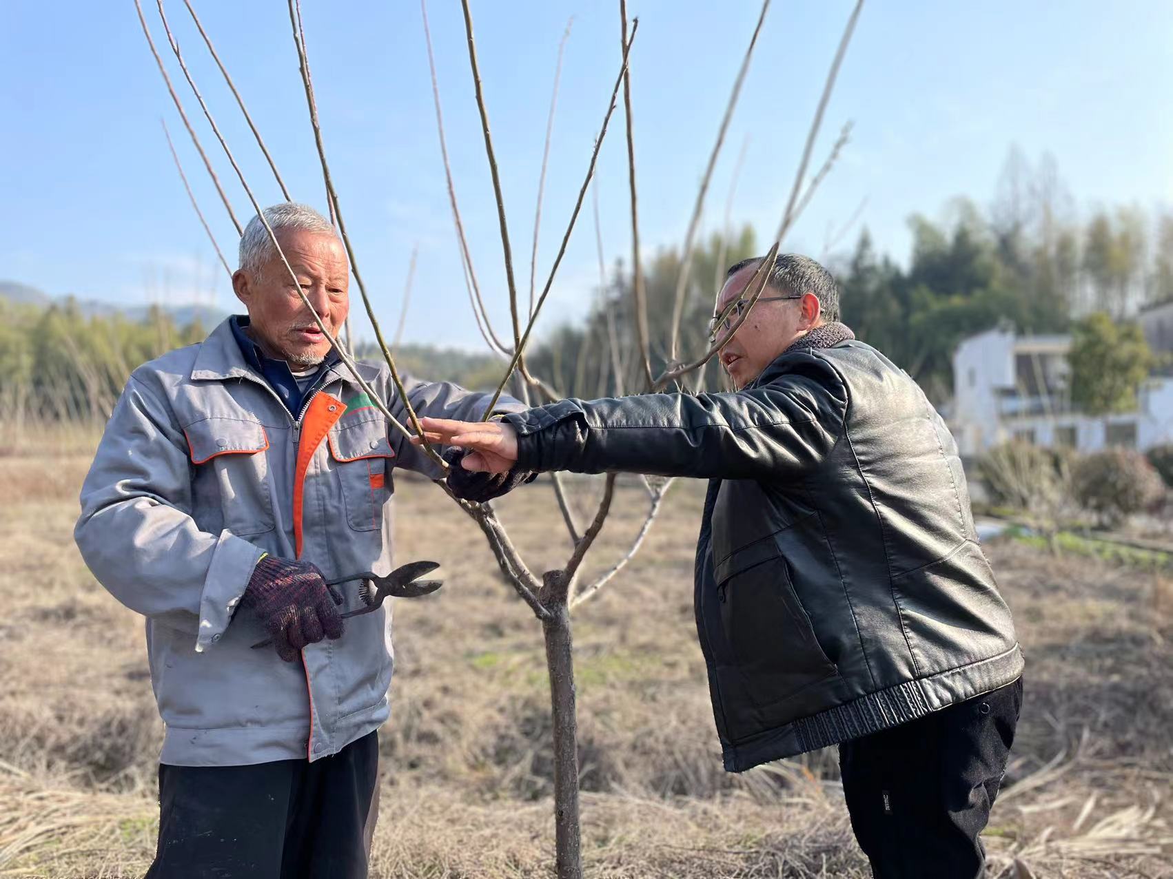 皖黟縣西遞鎮(zhèn)：「梅」好生活定向把脈