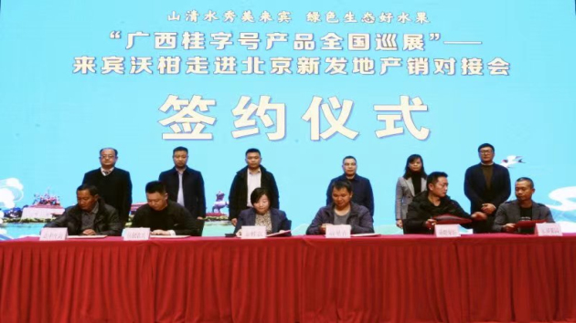 廣西來賓沃柑走進(jìn)北京新發(fā)地