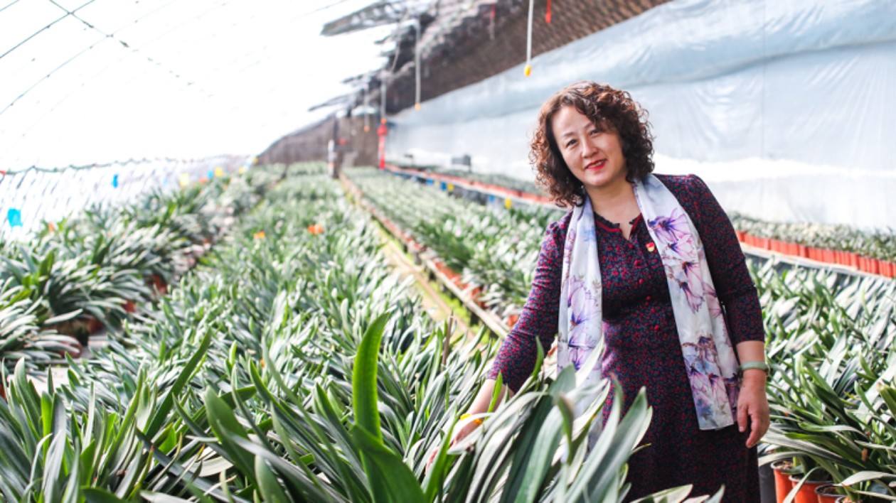 孫素云：加大農(nóng)業(yè)設(shè)施保險力度