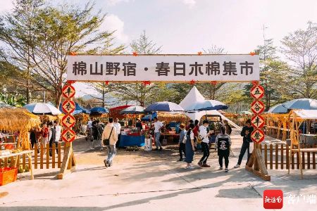 全網(wǎng)曝光量10億+ 昌江木棉何以火爆「出圈」