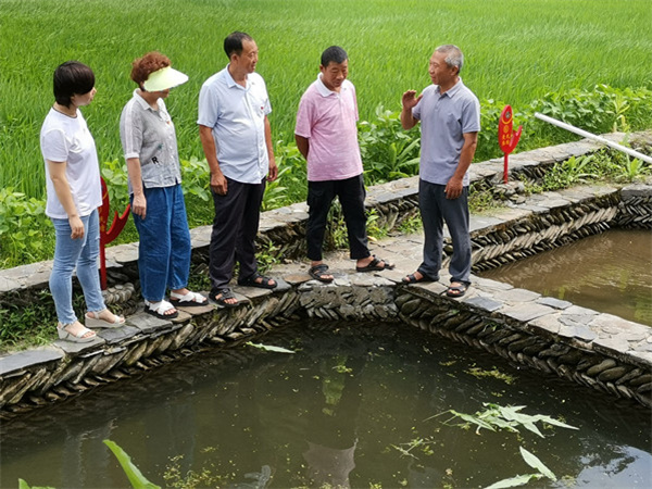 當好發(fā)展「領頭雁」  皖休寧縣村書記「擂臺比武」賽本領