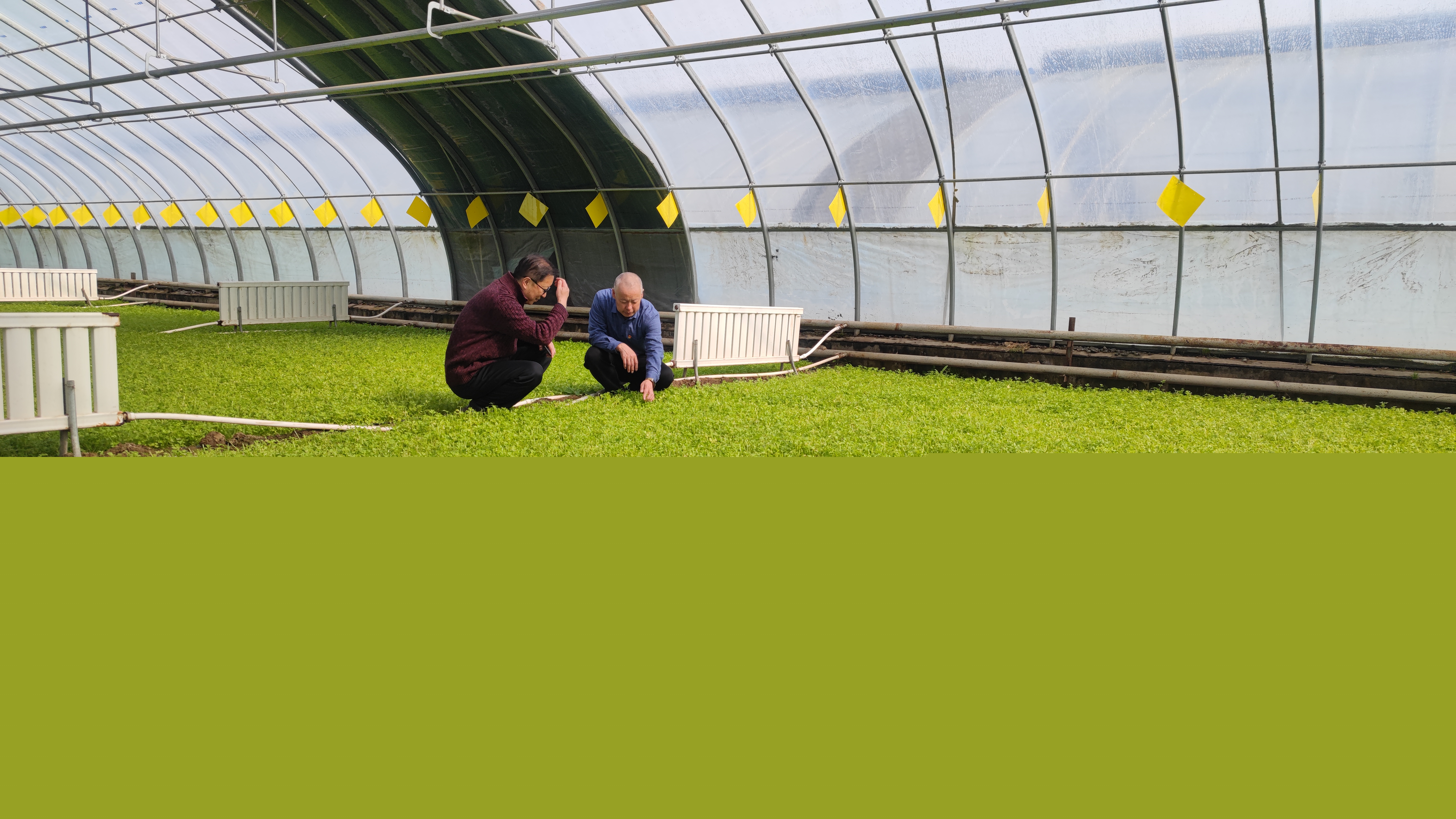 甘肅榆中千名人才組團(tuán)下鄉(xiāng)保春耕