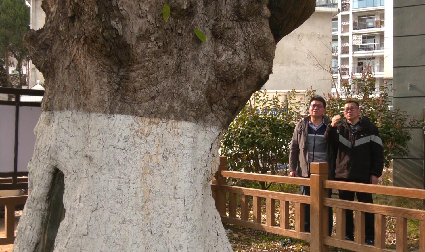 皖屯溪區(qū)加快教育重點(diǎn)項(xiàng)目建設(shè)