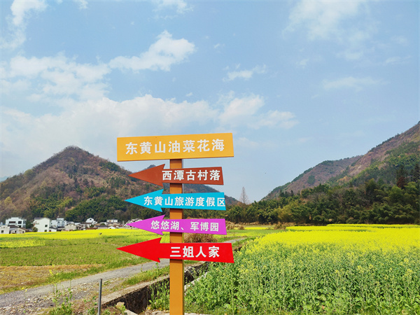 皖黃山區(qū)：和美鄉(xiāng)村菜花開(kāi) 生態(tài)宜居譚家橋