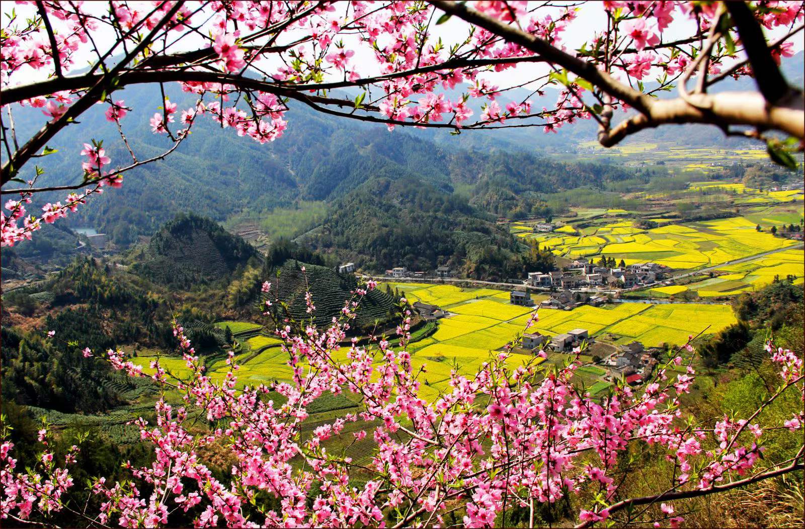 皖黟縣：柯村老區(qū)走出運(yùn)營(yíng)新路