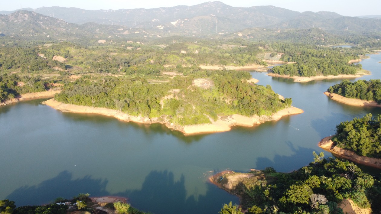 共種植苗木28萬(wàn)株！惠來(lái)縣高質(zhì)高效推進(jìn)綠美生態(tài)建設(shè)