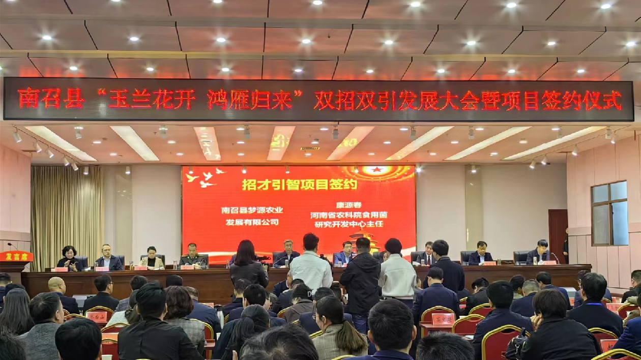 河南南召舉辦「玉蘭花開 鴻雁歸來」雙招雙引活動(dòng)