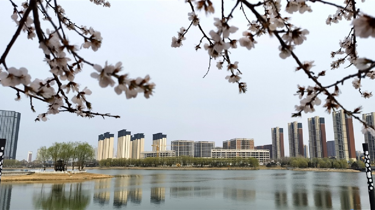 瀋撫改革創(chuàng)新示範區(qū)「三年行動」強勢起跑  自加壓力拼爭「團體」好成績