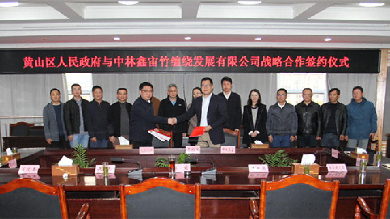 央企青眼  皖黃山區(qū)推林業(yè)產(chǎn)業(yè)融合發(fā)展