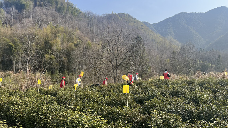 精密融合深度打造  皖黟縣柯村鎮(zhèn)做活新文章激發(fā)新活力