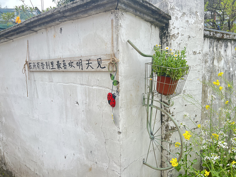 皖漁亭鎮(zhèn)：「拍手贊」「動手干」  共創(chuàng)「亭好」新家園