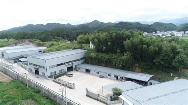 皖歙縣王村鎮(zhèn)：激活「電商」新引擎促振興