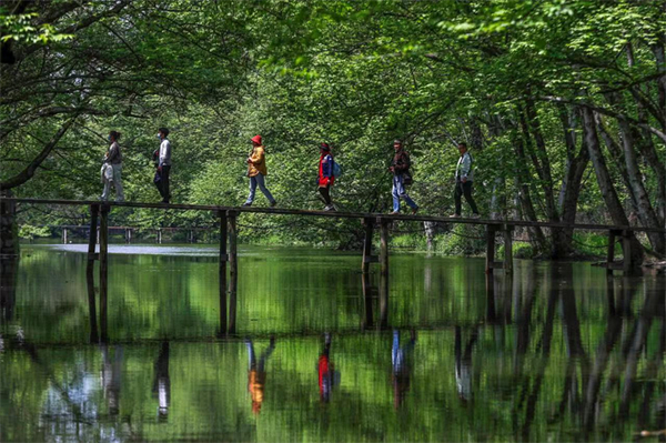 村村有亮點(diǎn)鄉(xiāng)鎮(zhèn)有品牌 皖徽州區(qū)美麗鄉(xiāng)村入畫來