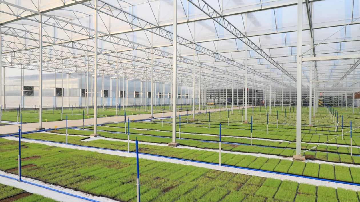 「絲苗米之鄉(xiāng)」增城：現(xiàn)代農(nóng)業(yè)產(chǎn)業(yè)園入選國家級創(chuàng)建名單