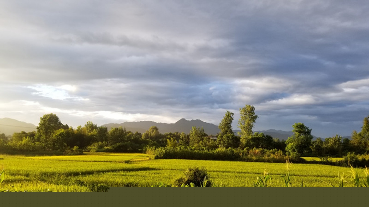 皖黟縣：農(nóng)文旅「融」出好「豐」景