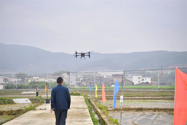 機(jī)械化種植率達(dá)82%以上 粵北始興裝備支撐守穩(wěn)「米袋子」