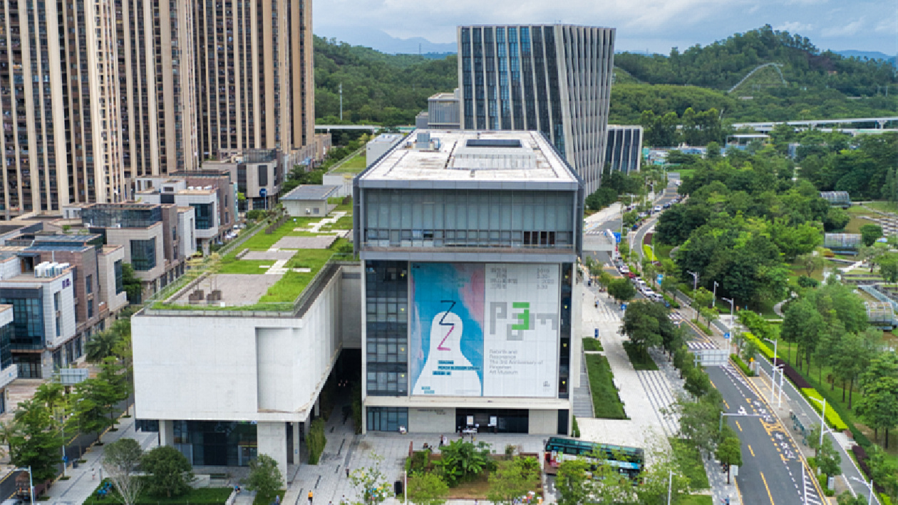 文化大咖齊聚深圳坪山，加快形成多元文化共治格局