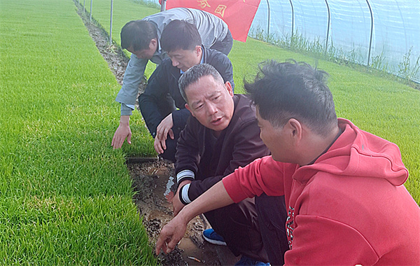 安徽巢湖：送技下鄉(xiāng)促春耕