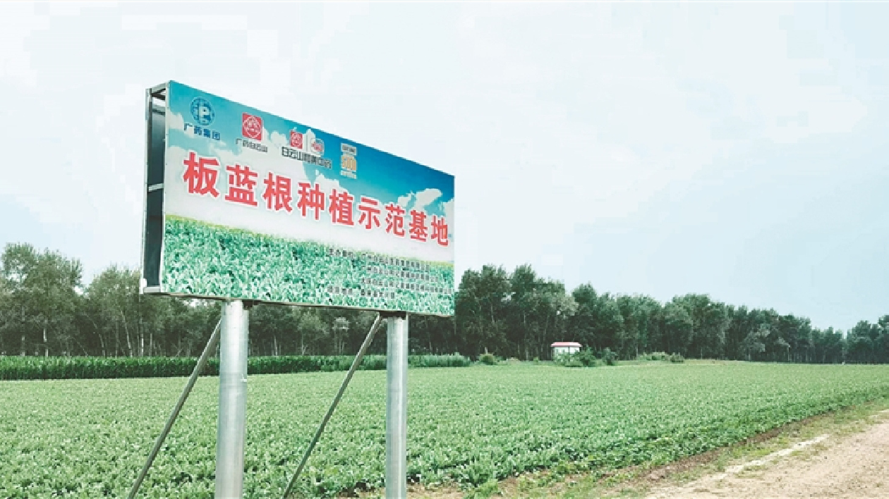 【對接大灣區(qū)·寒地龍藥耀九州】系列報道之五十二