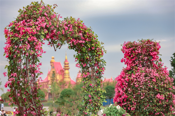 百名藝術(shù)家走進湖南漢壽推薦常德野生動物世界