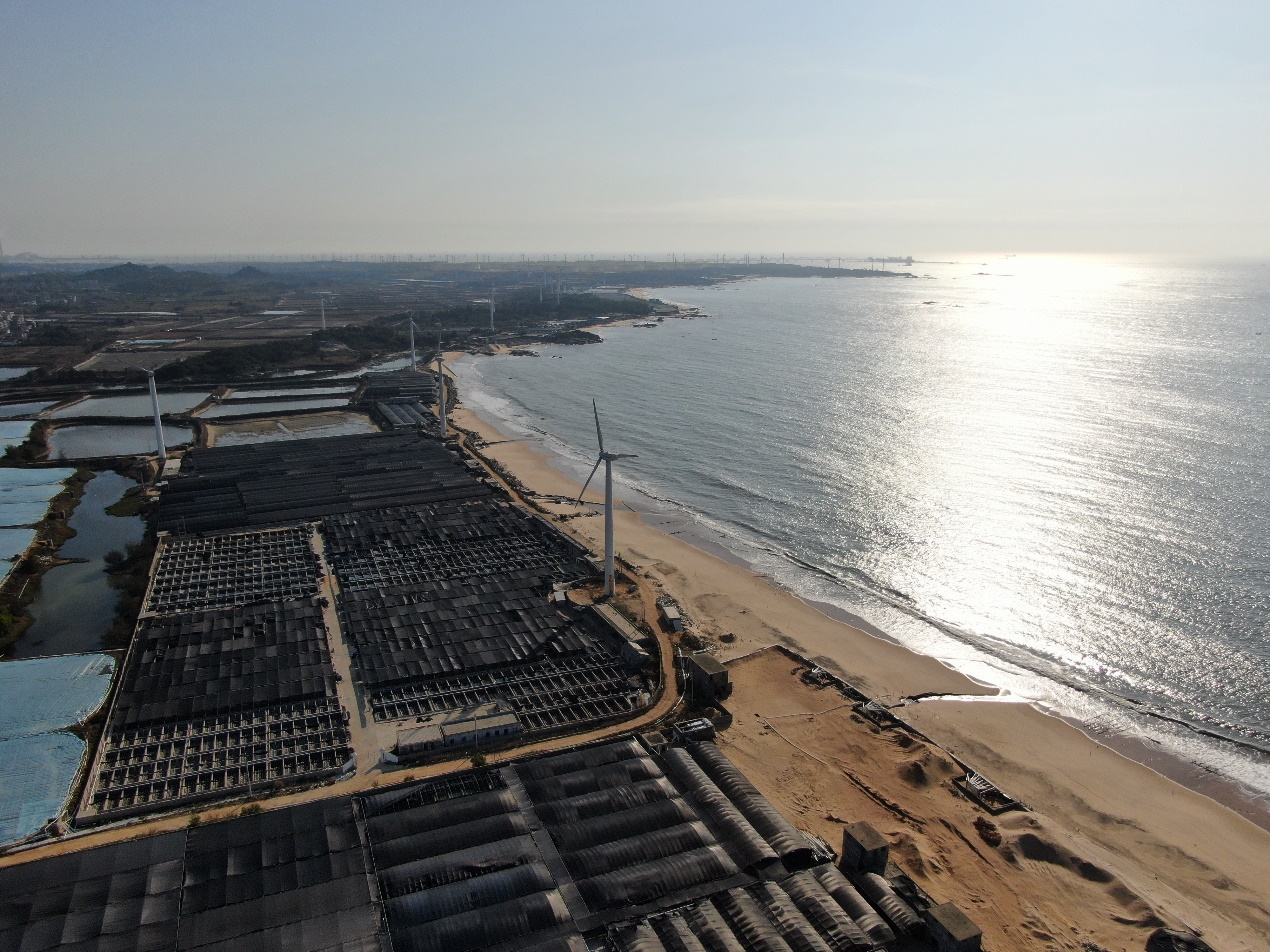 一業(yè)「鮑」富 ：從海濱到舌尖的「突圍」