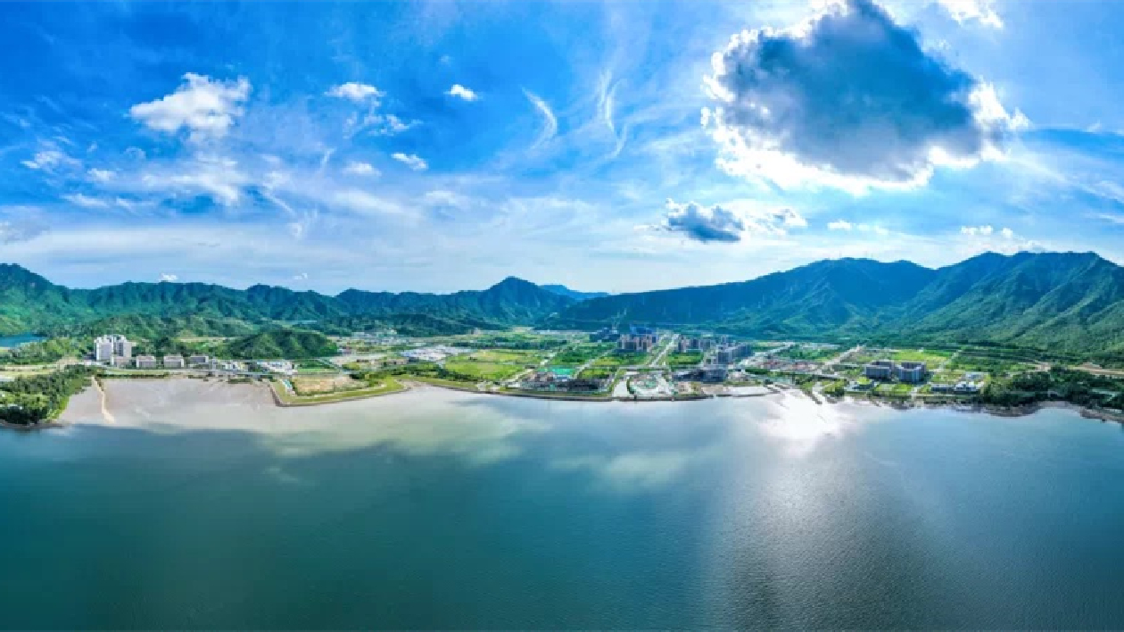 開(kāi)門(mén)紅 深圳葵涌一季度GDP同比增長(zhǎng)14.7%