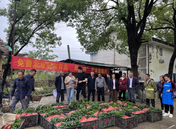 湖南邵東90後女網(wǎng)紅讓「家鄉(xiāng)味道」變百姓增收「法寶」