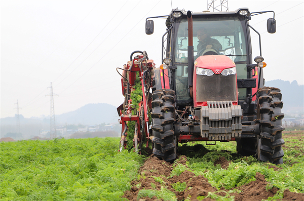 推升農(nóng)機(jī)化水平 川簡陽耕出都市農(nóng)業(yè)「豐景」