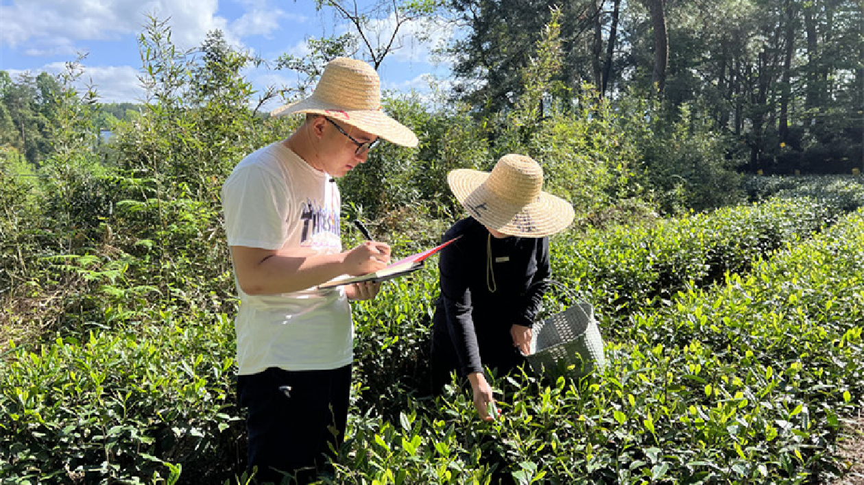 「小賬本」大民生  皖黟縣碧陽鎮(zhèn)居保參保包保到戶