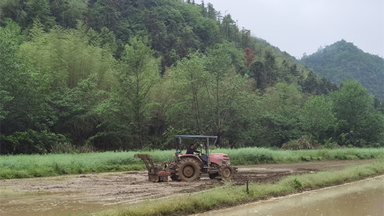 「小鐵?！钩赊r(nóng)耕「新主角」  皖黟縣宏潭鄉(xiāng)農(nóng)機惠農(nóng)促增收
