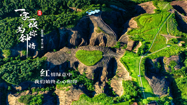 為你鍾情 |   在飛天山，欣賞最明亮的一抹「紅」