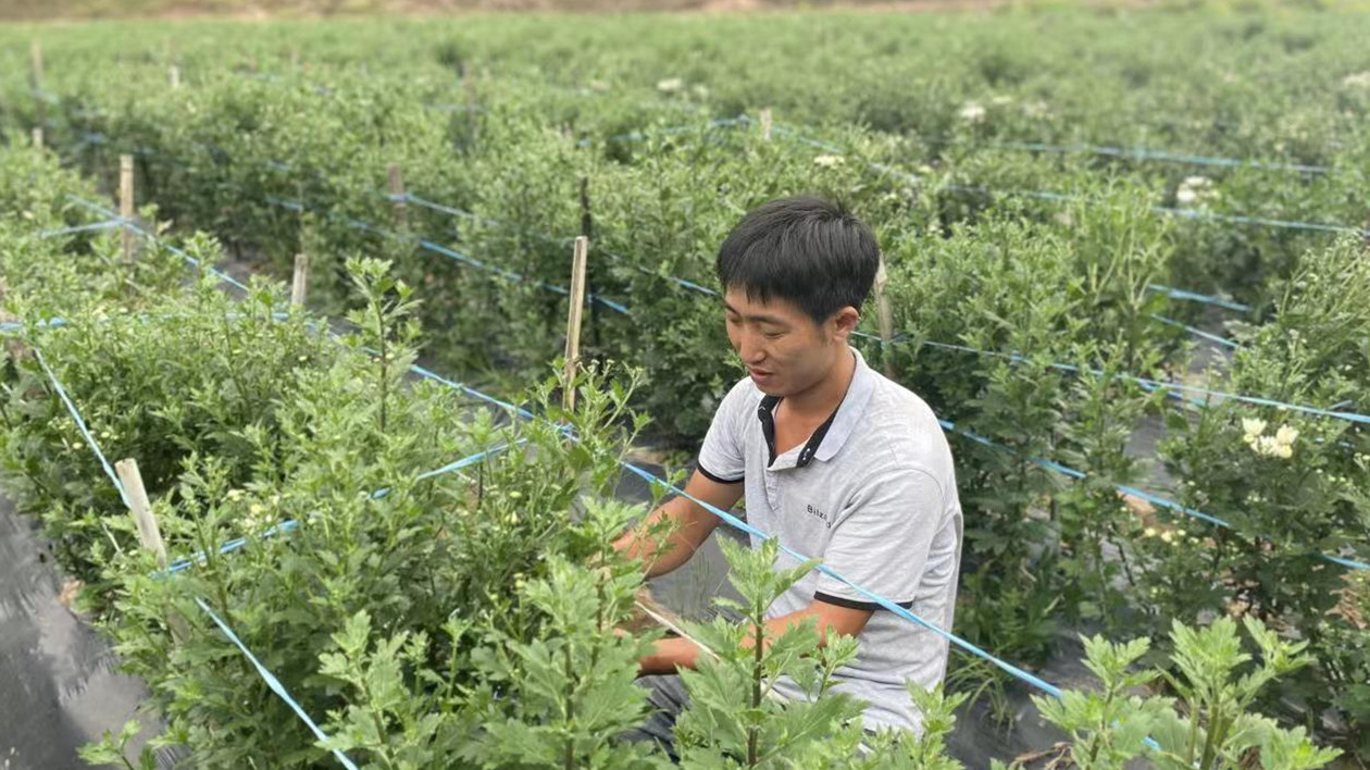 皖黟縣漁亭鎮(zhèn)：打出「組合拳」  荒地亦生金