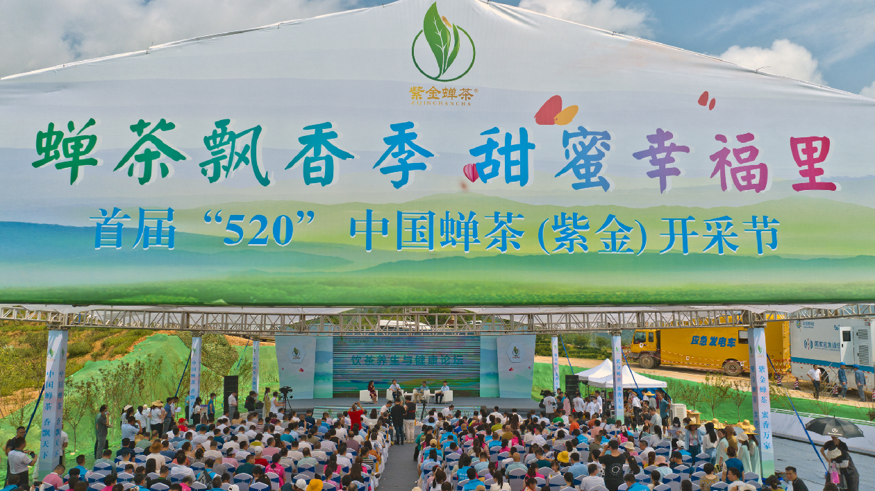    河源紫金舉辦首屆中國(guó)蟬茶開(kāi)採(cǎi)節(jié)