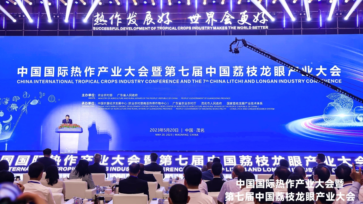 採購200萬斤茂名荔枝  廣藥荔小吉全「荔」做大廣東荔枝產(chǎn)業(yè)