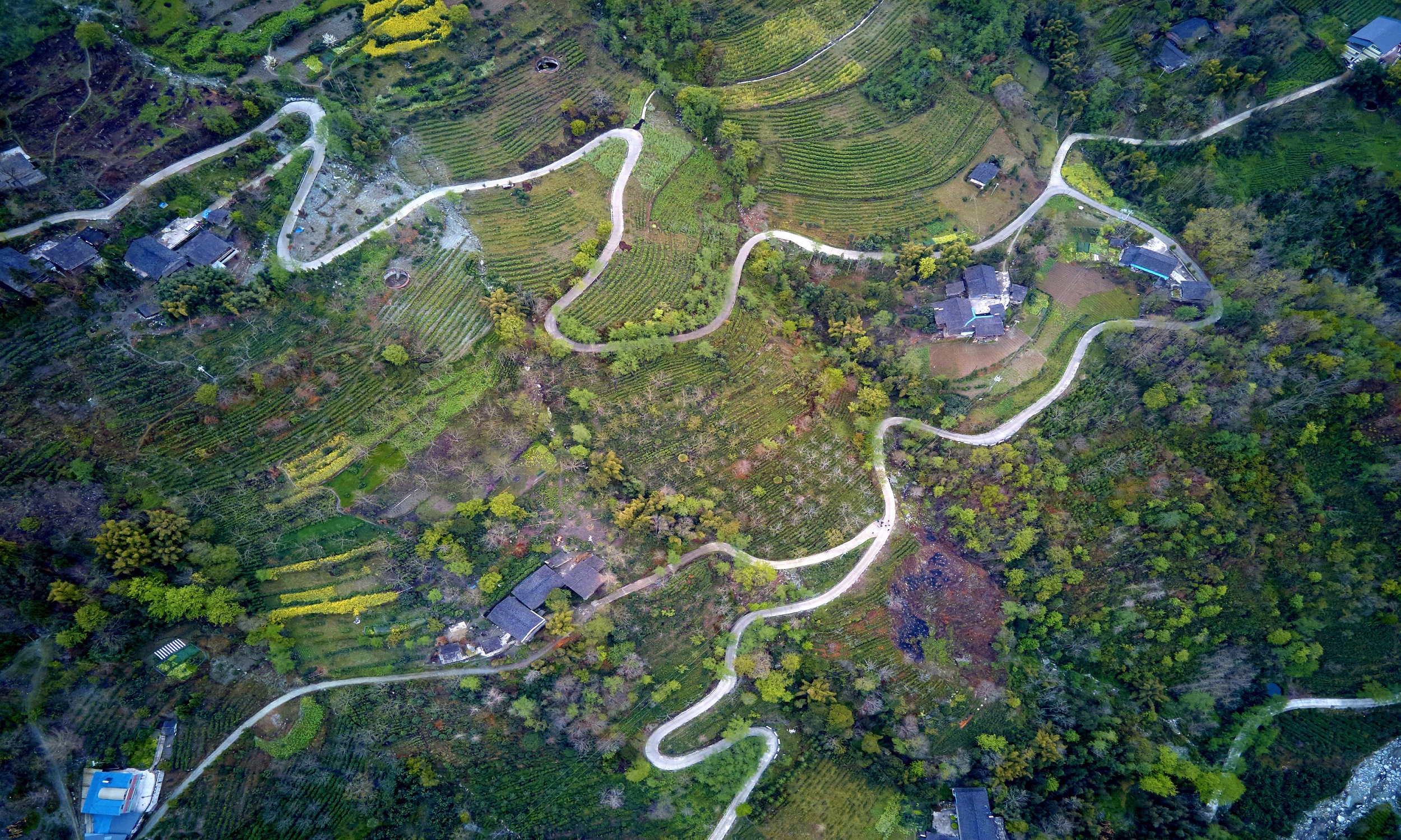 四川平武：聚力八大專項行動 擎畫高質(zhì)量鄉(xiāng)村振興