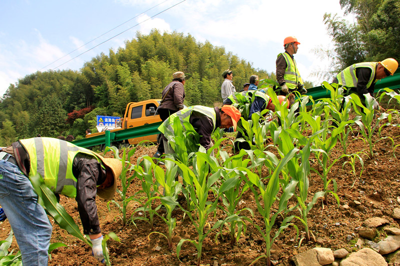 皖休寧公路：多部門聯(lián)動(dòng)  提升路容路貌