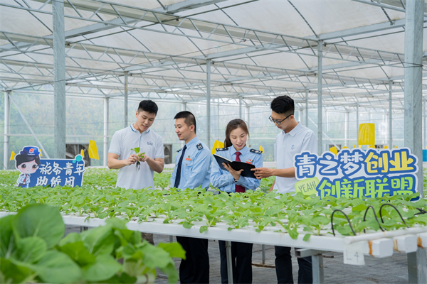 聚焦灣區(qū)農(nóng)業(yè)賽道 港青成就「新農(nóng)人」創(chuàng)業(yè)夢想