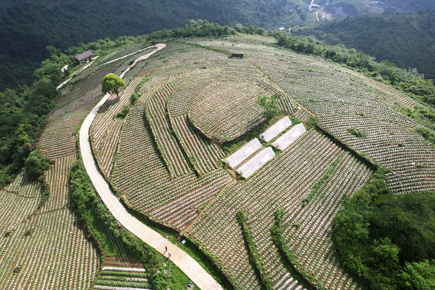 珠海高新區(qū)為黔道真縣建產(chǎn)業(yè)路助鄉(xiāng)村振興