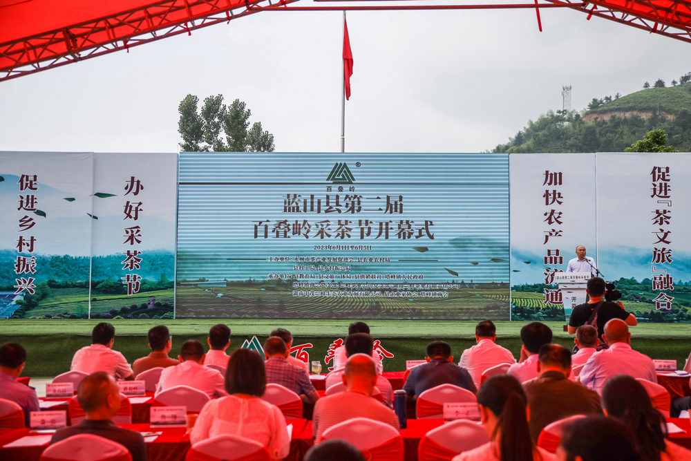 百疊嶺上茶飄香 藍(lán)山縣第二屆百疊嶺採茶節(jié)開幕