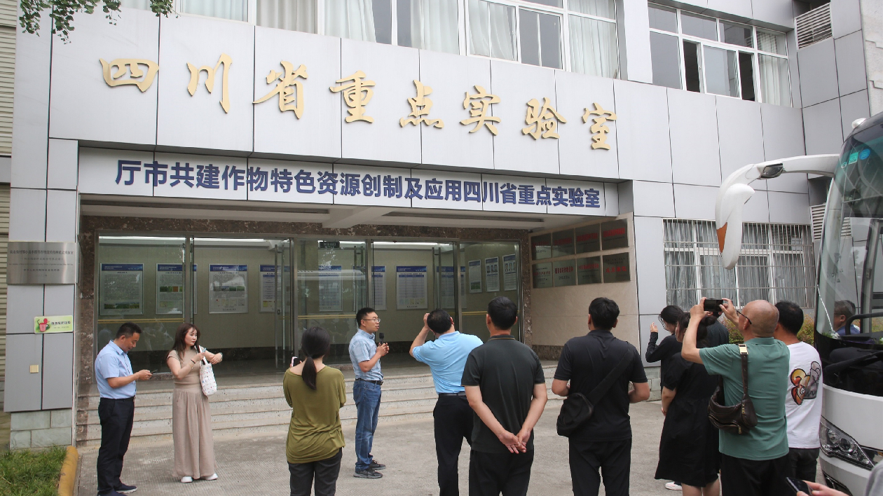 「科技立市」 四川綿陽農(nóng)科院科技賦能打造新時(shí)代更高水平「天府糧倉」