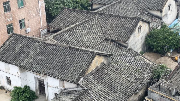 同宗同源雙城地名故事①：葵涌