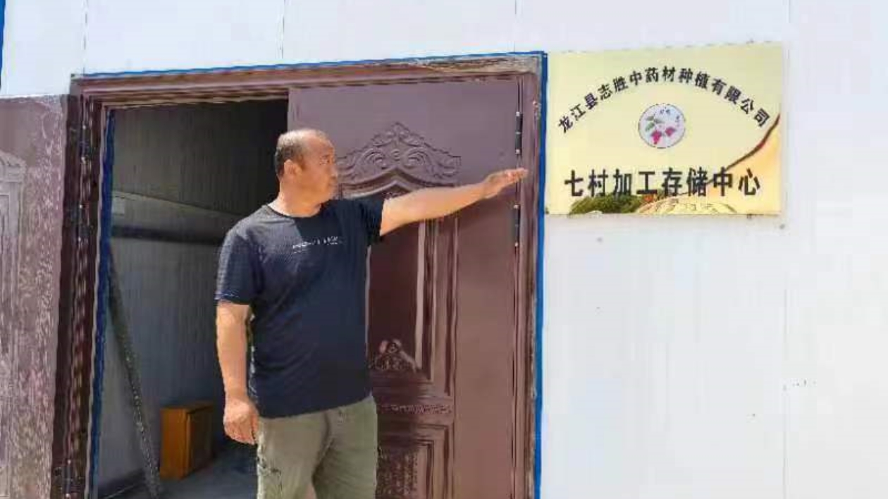 【走進大灣區(qū)·寒地龍藥耀九州】系列報道之五十八：黑龍江龍江縣白山鎮(zhèn)七村：庭院種植中藥材  年收入150萬元