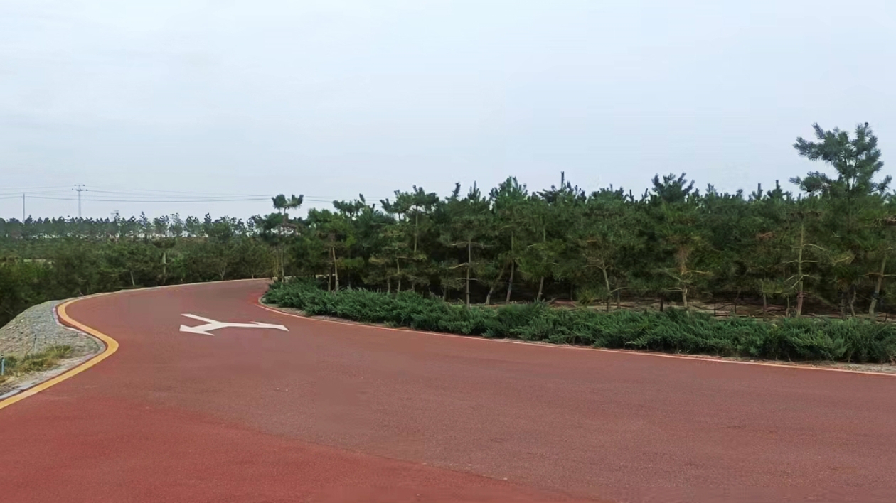 生態(tài)張掖丨甘肅版「塞罕壩」是怎樣「煉成」的？