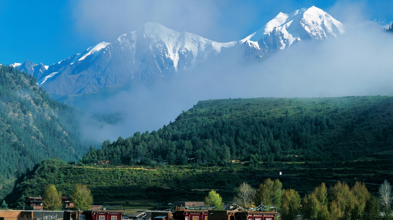 等你來定！四川甘孜「州花」「州鳥」候選名單亮相西博會