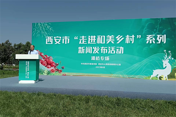 西安灞橋：鄉(xiāng)村產(chǎn)業(yè)升級(jí)迭代 農(nóng)文旅產(chǎn)業(yè)融合發(fā)展