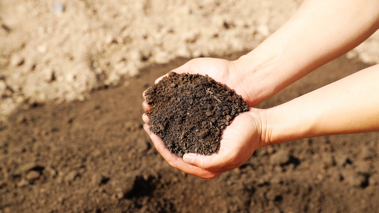 生態(tài)張掖丨污水「新生」 變「廢」為「寶」