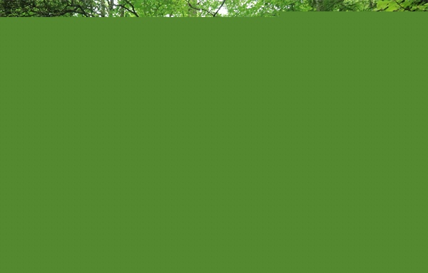 湖南張家界舉辦自行車(chē)極限速降挑戰(zhàn)賽